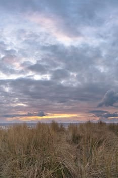 View over the dunes on the island of Usedom to the Baltic Sea. Dune grass and clouds. Nature photo from the coast