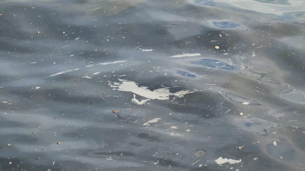 Contaminated water surface covered with plastic waste, garbage, and debris, revealing ecological degradation and pollution impact