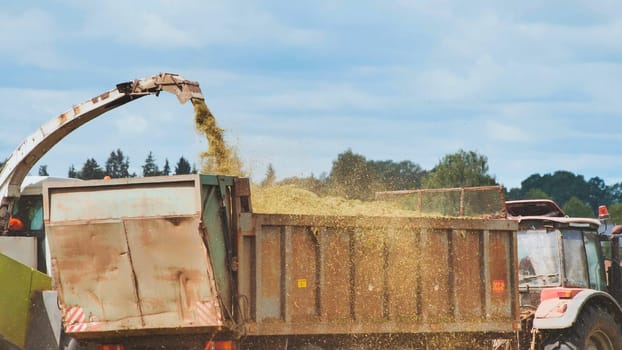 Forage harvester unloading freshly cut silage crops into tractor trailer for further processing on agricultural field