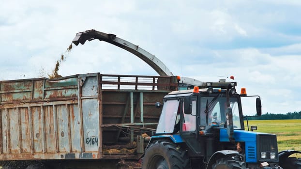 Forage harvester unloading green grass clippings into agricultural trailer during summer crop harvesting process
