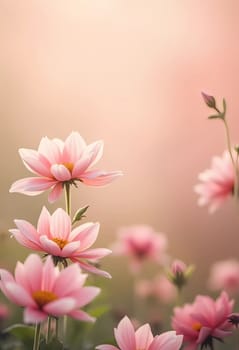 Soft pink blossoms rise gracefully, their petals welcoming the warmth of sunlight.