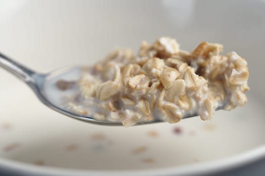 Close-up of a spoonful of oatmeal featuring creamy texture and grains.