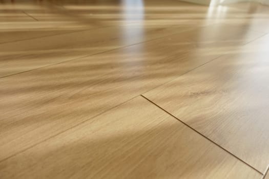 Warm sunlight creates patterns on a polished wooden floor.