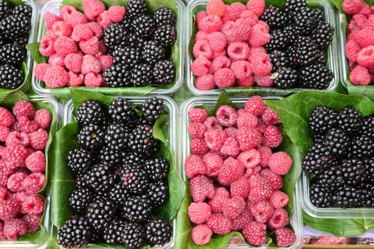 Colorful berries arranged in containers with green leaves at market.