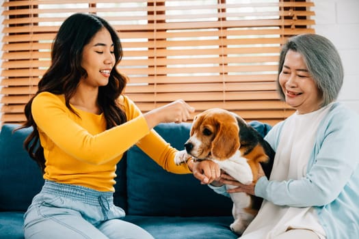 On the sofa, a woman and her mother share a special family moment with their Beagle dog. Their affection and loyalty are evident in their smiles, emphasizing the strength of their family.