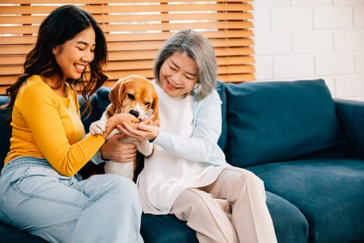 On the sofa at home, a woman, her mother, and their Beagle dog create a loving family portrait. Their dedication to each other reflects the beauty of their relationship. Pet love.