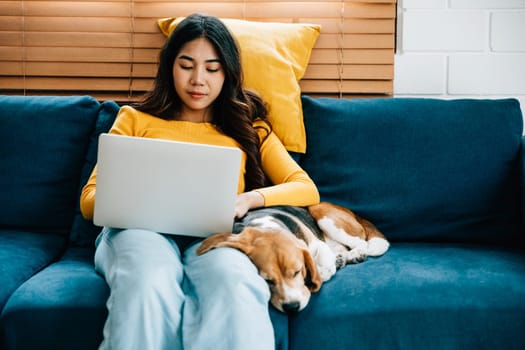 In their cozy living room, a woman focuses on her laptop while her Beagle dog enjoys a peaceful nap on the sofa. Their friendly connection and shared workspace create a warm atmosphere. Friendly Dog.