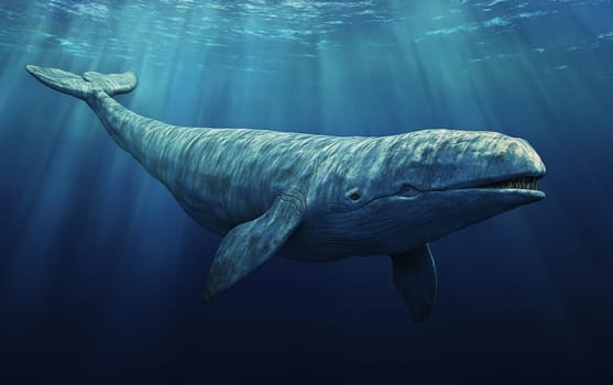 A massive Livyatan melvillei emerges from the depths, taking a powerful breath before diving back into the mysterious, untamed ocean.