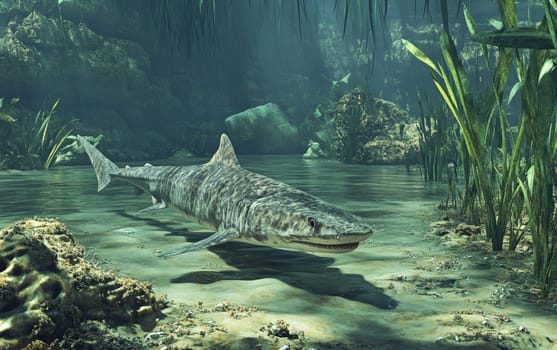 Two Xenacanthus engage in a fierce, ritualistic confrontation as they vie for dominance within the dense, primeval aquatic environment, their powerful jaws and serrated spines.