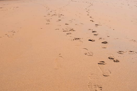 Footprints on sandy beach with gentle waves in natural light.