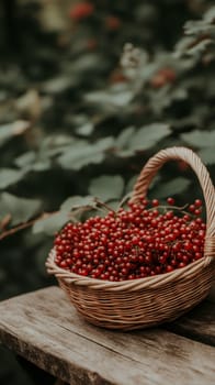 A wicker basket filled with fresh red berries placed on a rustic wooden table in a garden setting.