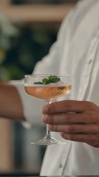 A hand holding an elegant cocktail glass with a mint garnish, evoking a sophisticated ambiance.