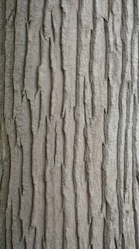 A close up of textured tree bark, showcasing the natural patterns and rugged surface of the wood.