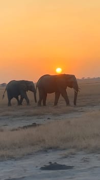 Two elephants walk gracefully across the savannah as the sun sets in the background, creating a majestic scene.