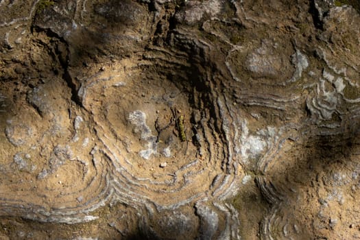 Intricate shapes caused by the erosion of water on the stones. Abstract background and texture.