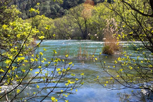 Wide picture of Krka National Park,Croatia. Peace and relaxation in a natural environment. Exotic travel and tourism. Background for tourism brouchures.Europe Landscapes