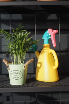 A vibrant plant in a decorative pot alongside a bright spray bottle.
