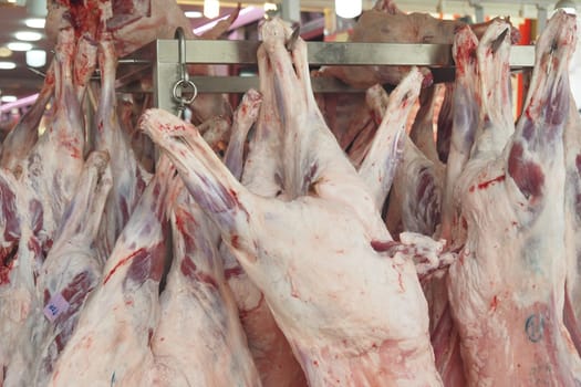 Lamb carcasses are displayed in a market for customers to view.