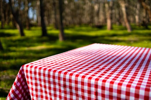 Red checkered picnic tablecloth in sunlit forest clearing.