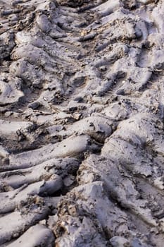 A detailed closeup image of a distinct tire track imprinted in the wet, soft mud that tells a story of movement and travel