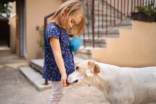 A young girl joyfully shares a snack with a friendly dog outside.