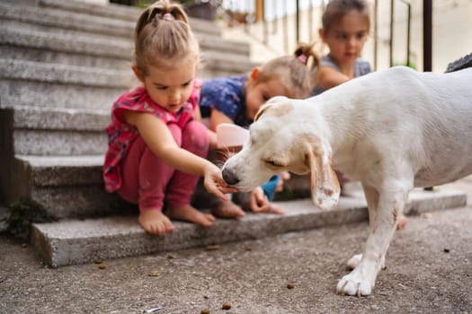 Three girls sit on steps, enjoying time feeding a friendly dog.