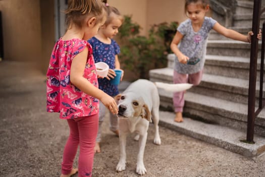 Three girls joyfully interact with a playful dog near the stairs.