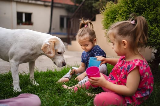 Two young girls enjoy a sunny afternoon in the garden with a friendly dog.
