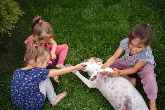 Three children interact playfully with a friendly dog on soft grass.