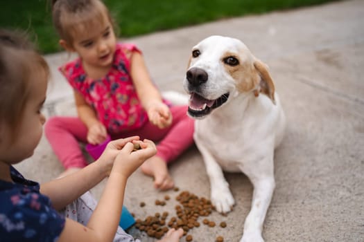 Two children joyfully share dog food with a happy canine companion.