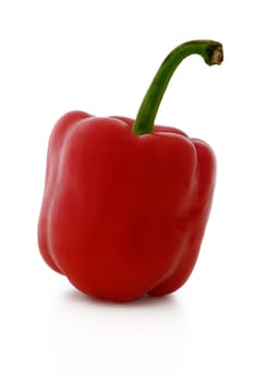 A fresh red bell pepper showcases its glossy skin and unique shape, illuminated by soft light. The vegetable embodies a sense of natural beauty and culinary potential.