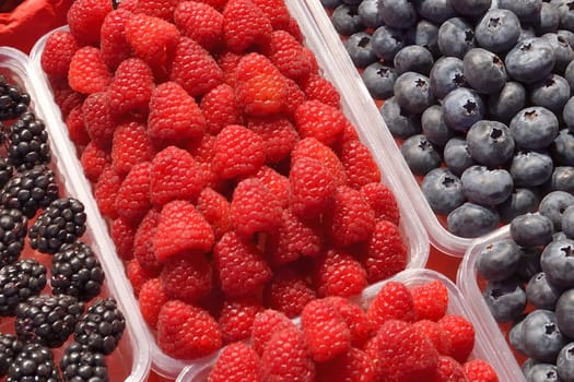 Background of blueberries, huckleberries and a blackberries in plastic trays