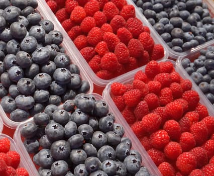 Blueberry and raspberry background in a plastic trays
