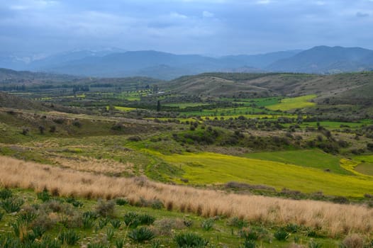 Rolling hills covered in lush green grasses and vibrant yellow fields stretch across the countryside under a cloudy spring sky. Nature's beauty is on full display, inviting serenity and peace.
