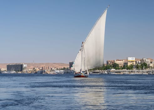 Aswan, Egypt - 4 November 2024: Felucca sailing upstream with a full sail for a cruise on the Nile