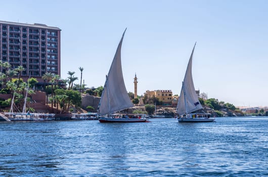 Aswan, Egypt - 4 November 2024: Two felucca boats sailing downstream and tacking against wind by the New Cataract hotel