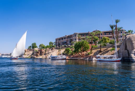 Aswan, Egypt - 4 November 2024: Felucca sailing upstream with a full sail for a cruise on the Nile by the Old Cataract Hotel