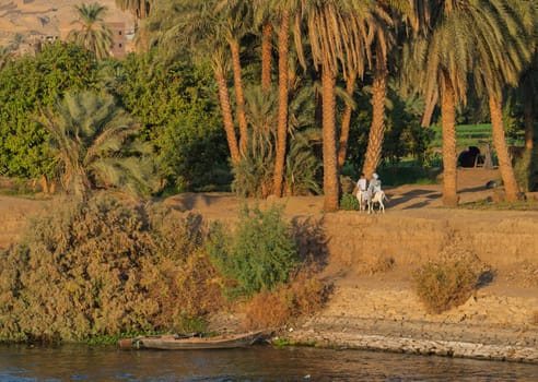 Two men in traditional Egyptian clothing ride donkeys towards their village in the setting sun along the River Nile