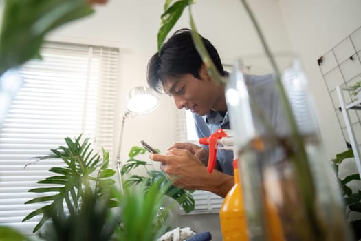 This image illustrates a person deeply engaged in digital plant research while caring for their ZZ plant, reflecting the integration of sustainability in gardening.