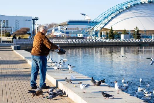Belarus, Minsk - 25.03.2025: A man is feeding seagulls while standing on a dock that is situated near a large and scenic body of water, enjoying the view