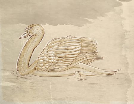 hand drawn illustrations portraits, animal objects and landscapes