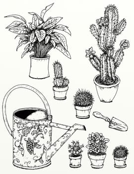 hand drawn illustrations portraits, animal objects and landscapes