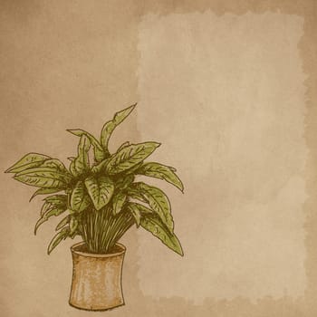 hand drawn illustrations portraits, animal objects and landscapes