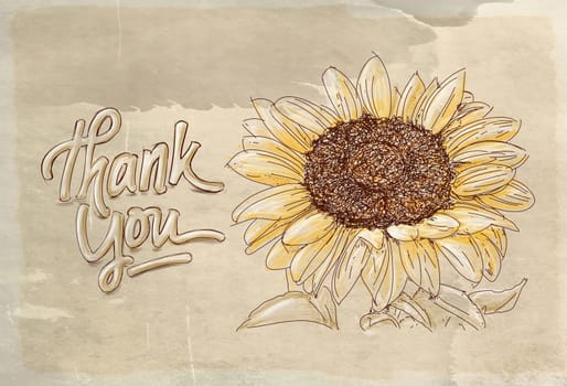 hand drawn illustrations portraits, animal objects and landscapes