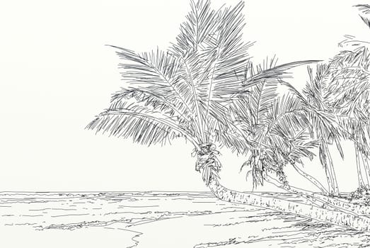 hand drawn illustrations portraits, animal objects and landscapes