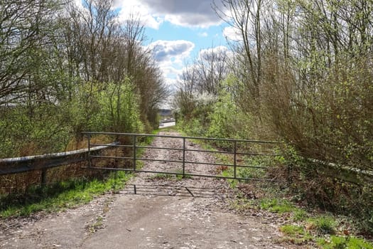 Open gate on a dirt road leading to a highway in the distance, surrounded by trees and bushes in early spring