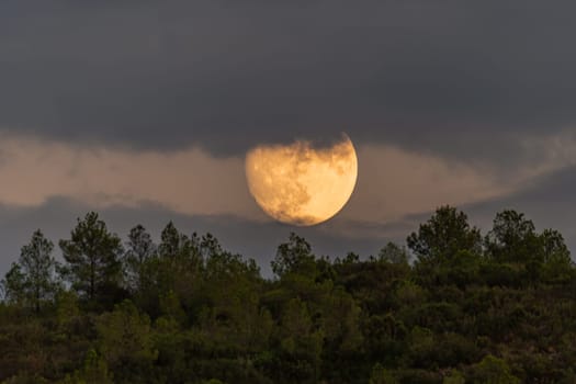 A full moon peeks through the clouds, illuminating a mountain adorned with pine trees.Moon's craters in detail, surrounded by pine trees and Mediterranean vegetation, under cloudy skies.