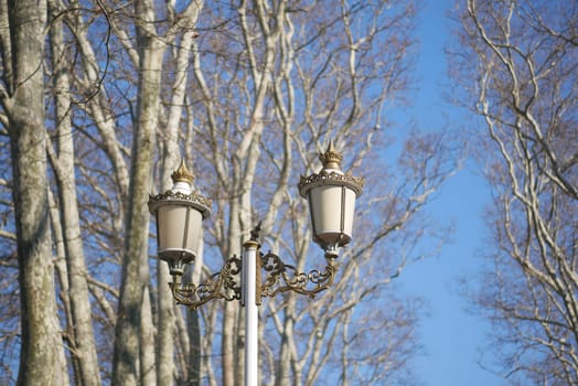 A vintage lamp post stands amidst bare branches on a sunny day.