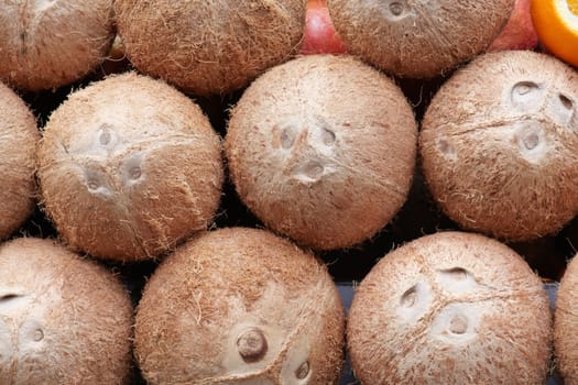 Close-Up of Fresh Coconuts with Brown Textured Shells in a Market Display