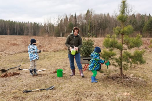 Two children help an adult woman with tree planting in a field surrounded by sparse trees. They use small tools and bright containers to care for the young pine trees.